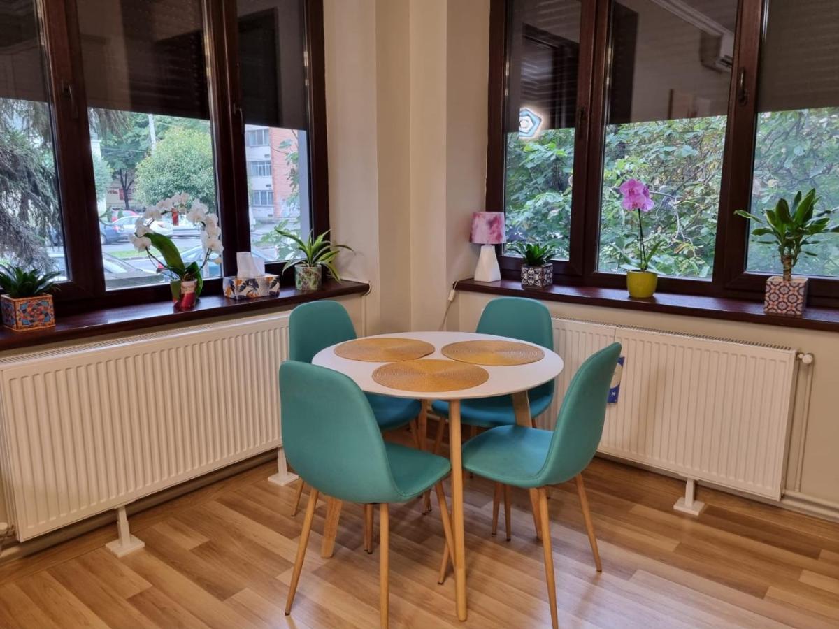 City Center Dream Apartment Temešvár Exteriér fotografie